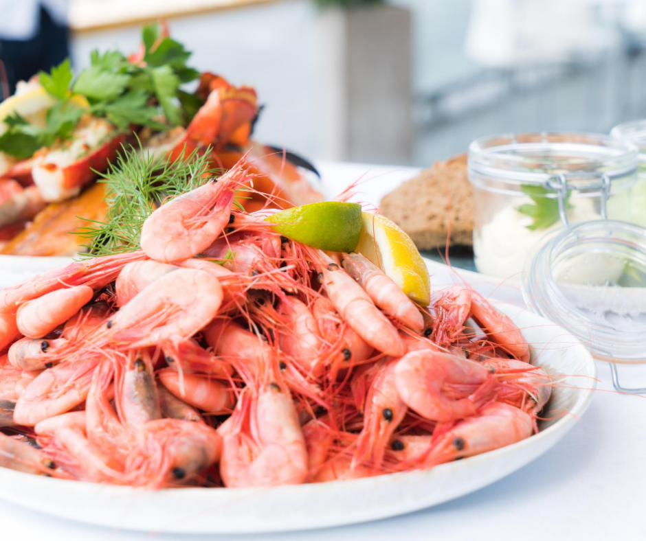 Cost of Ideal Protein Diet: Starting Fee, Food Cost, Comparison