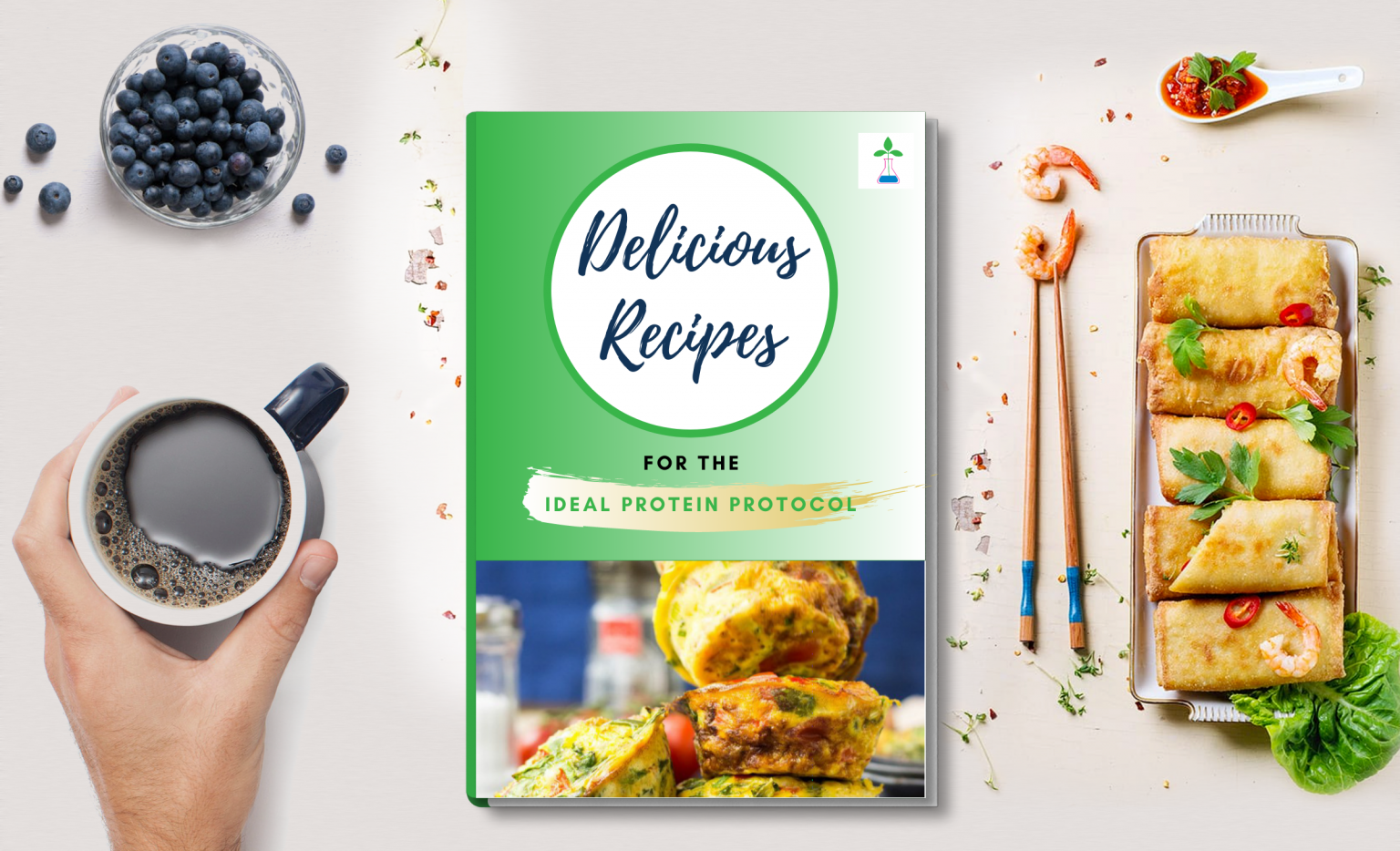 Ideal Protein Recipes biointelligentwellness