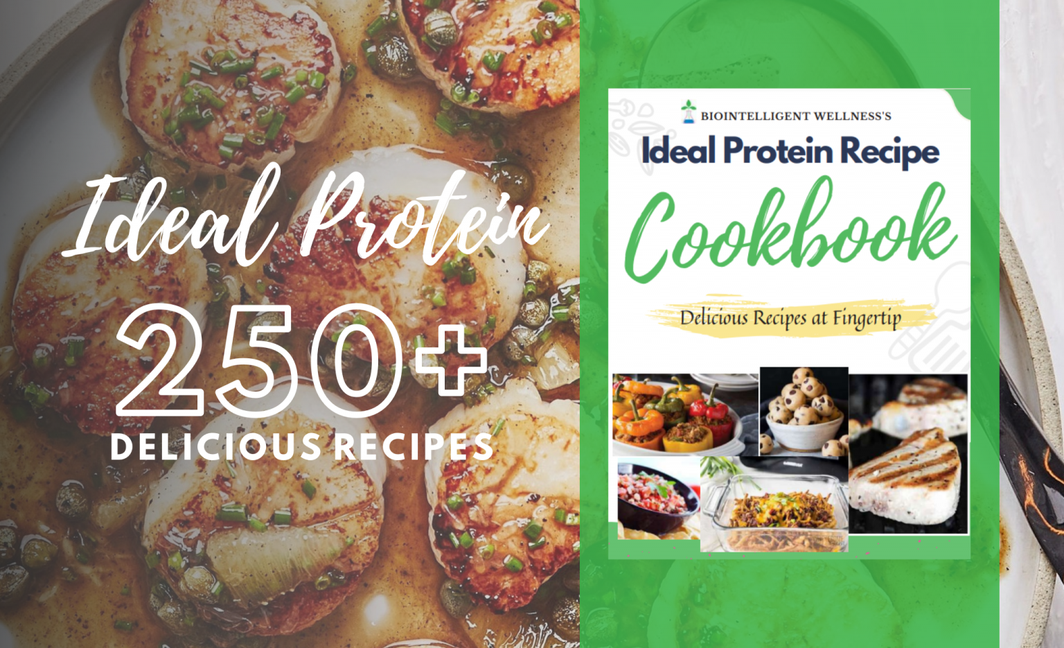 Ideal Protein Recipes 350+ Phase 1 Meal Plan & Cookbook