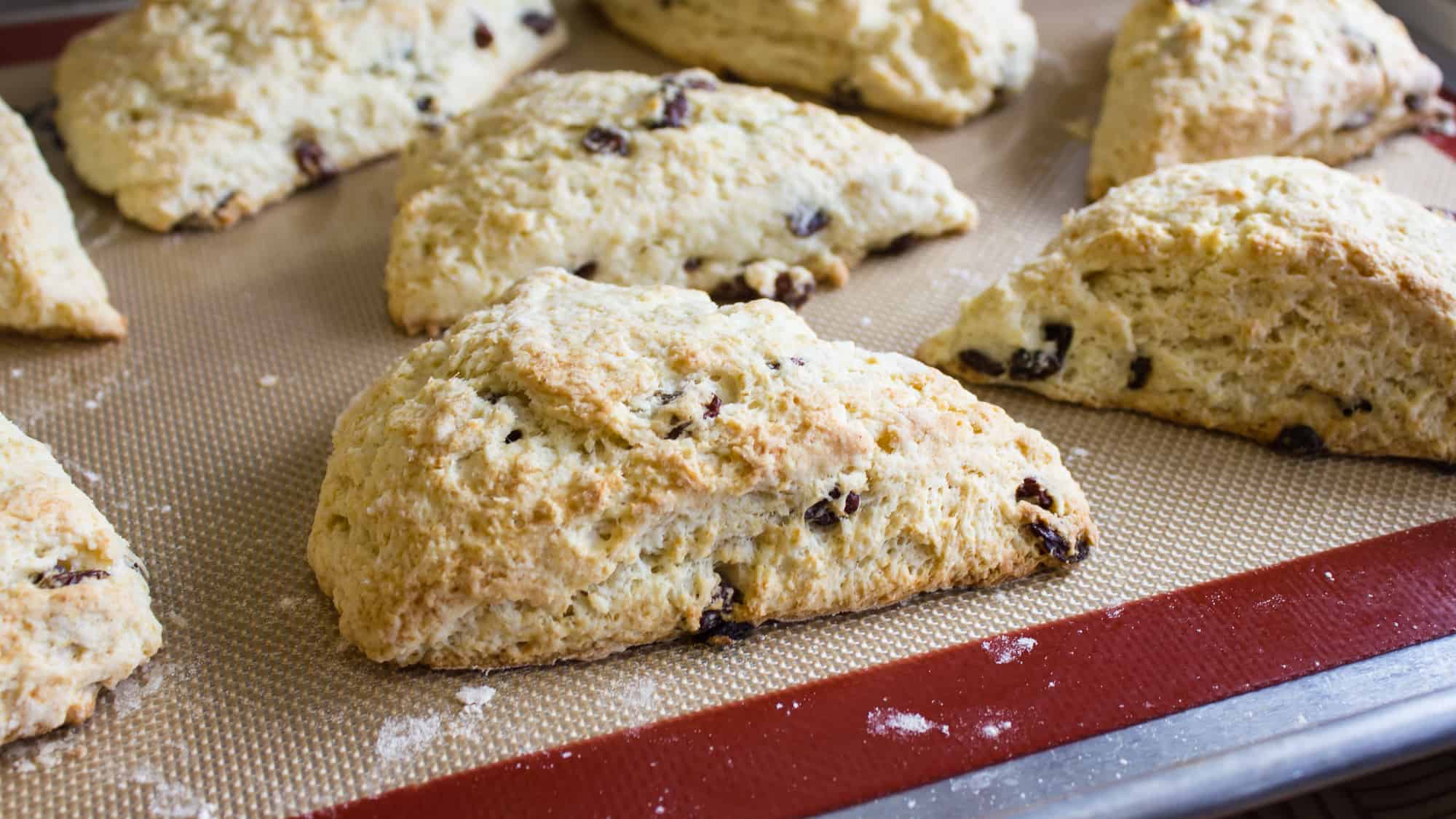 S'Mores Scone - BioIntelligent Wellness