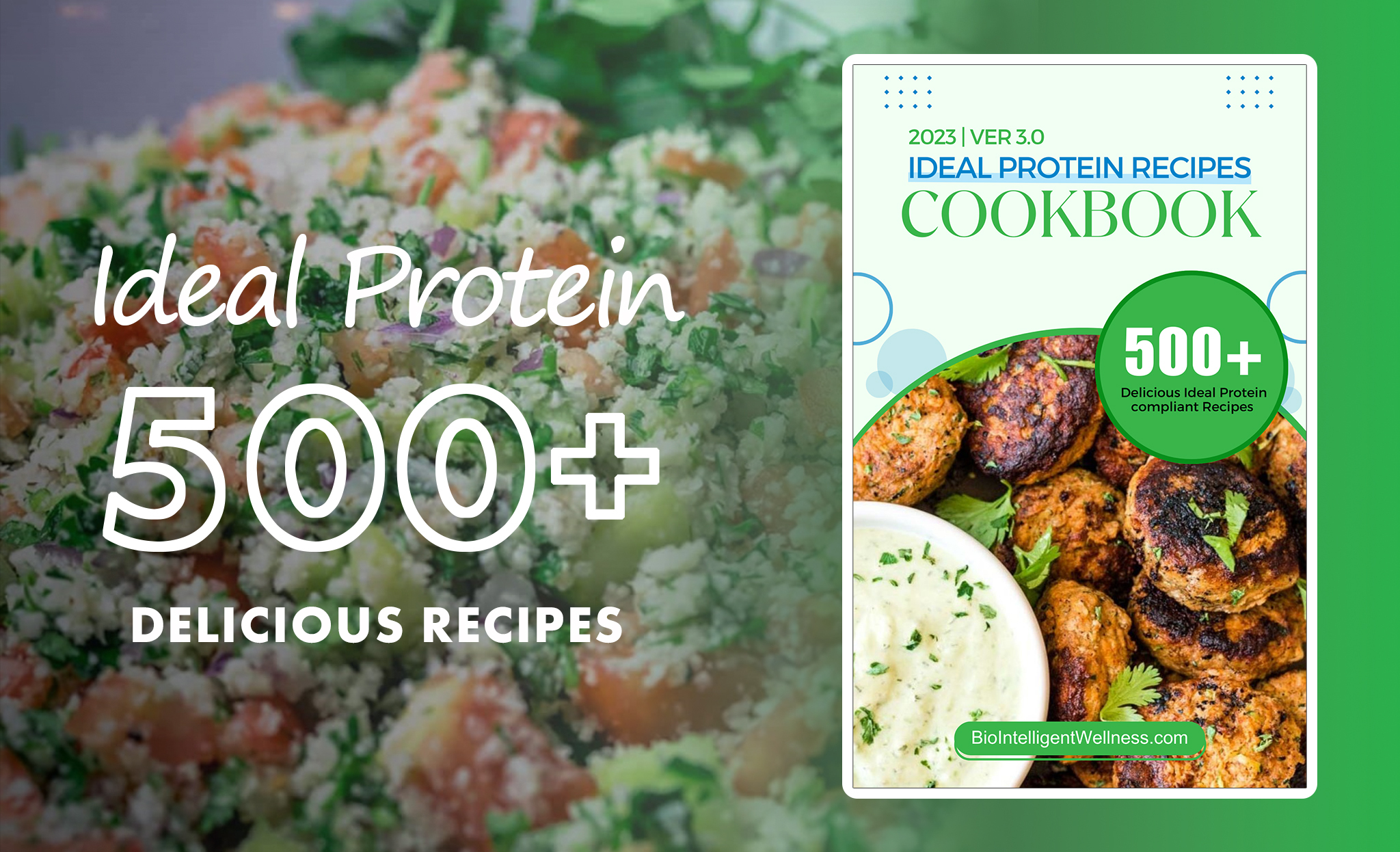 Ideal Protein Recipes 500 Phase 1