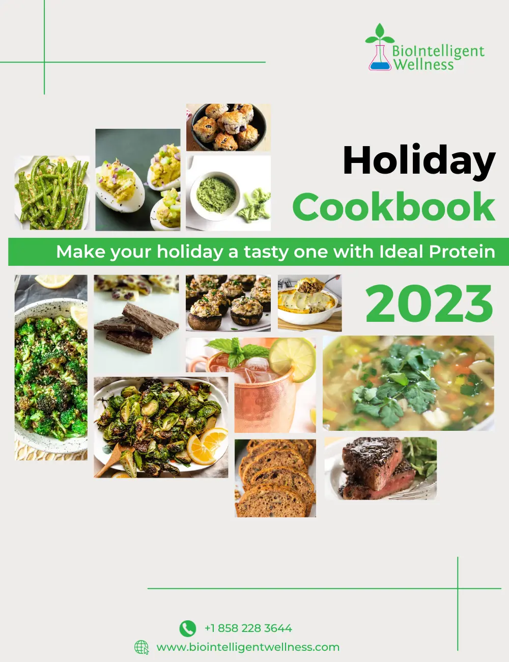 Ideal Protein Holiday Cookbook