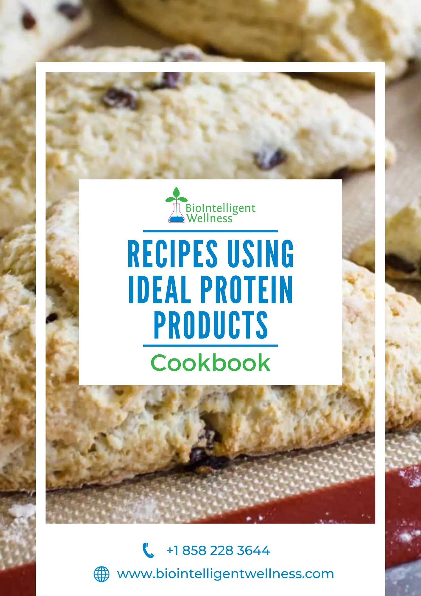 Recipes Using Ideal Protein Products