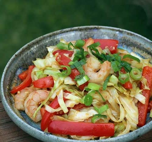 Shrimp and Cabbage Stir fry - BioIntelligent Wellness