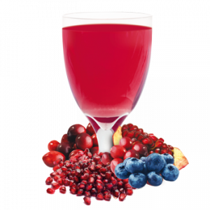 Ideal Protein Product - Blueberry, Cranberry and Pomegranate Drink Mix